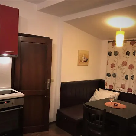 Barantiev Mansard Apartment *
