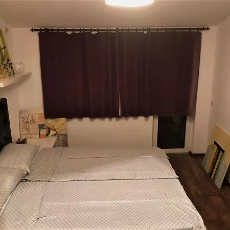 Apartment Barantiev Mansard *