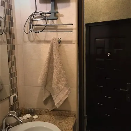 Apartment Barantiev Mansard